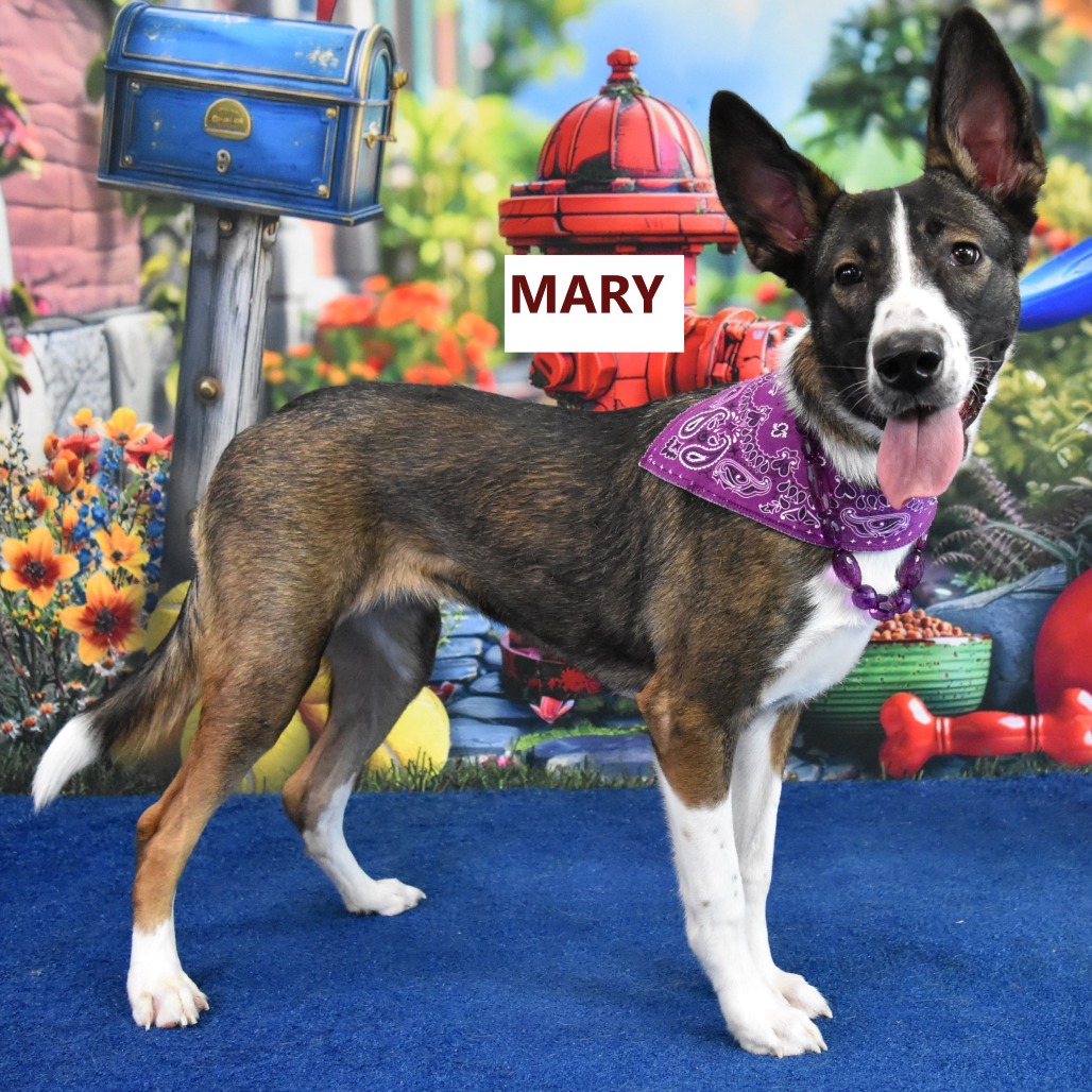 Mary 