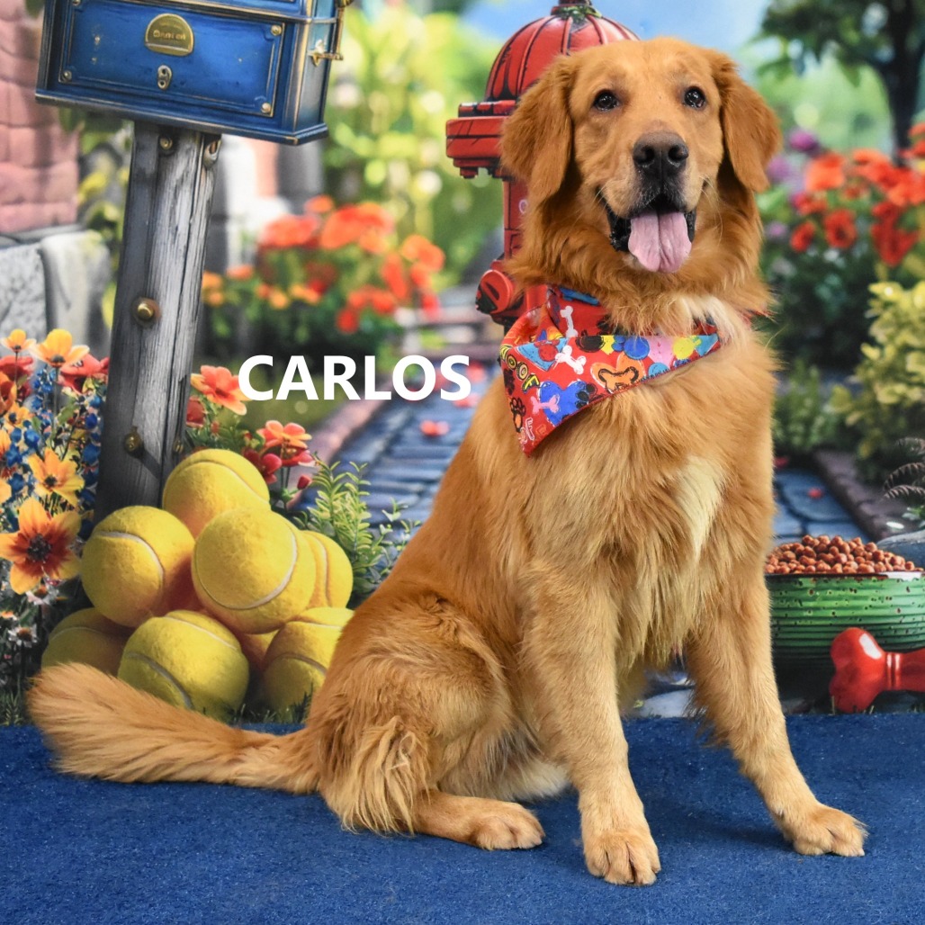 Carlos