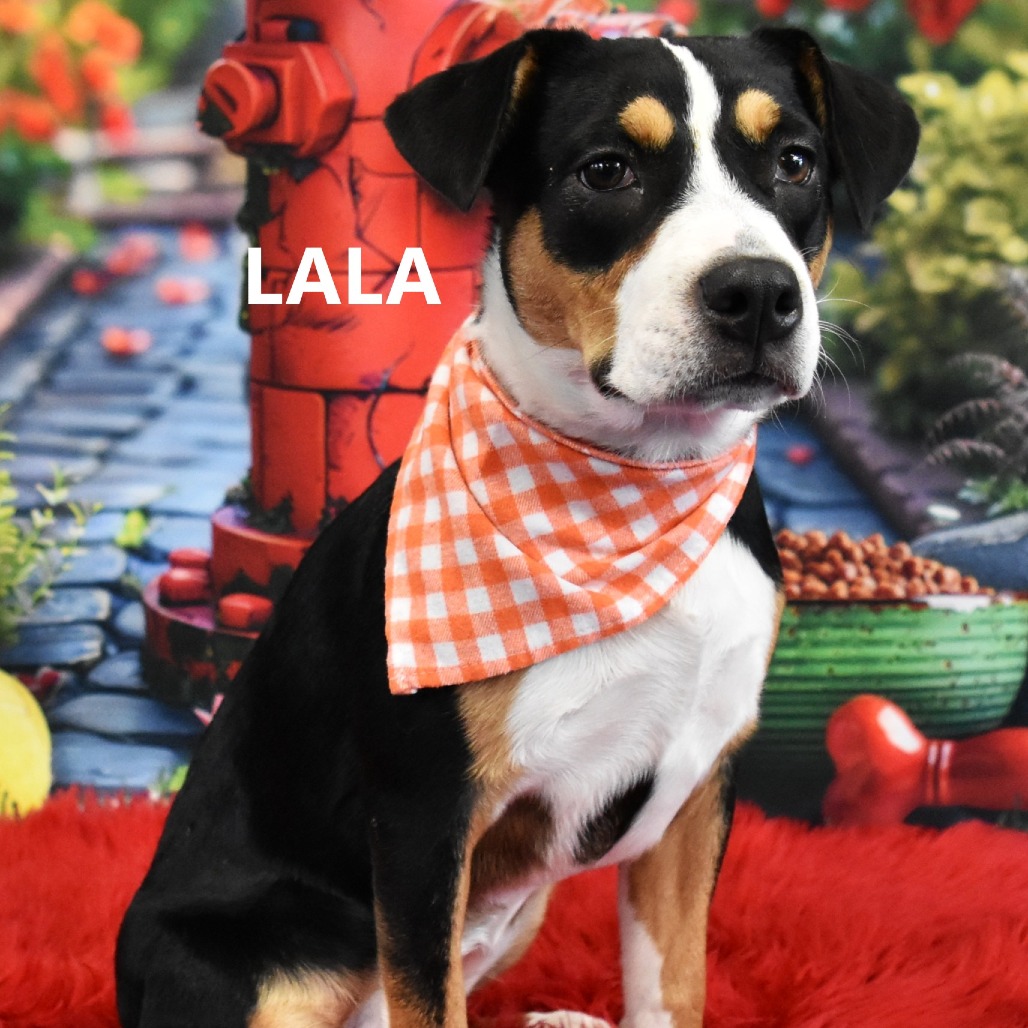 Lala