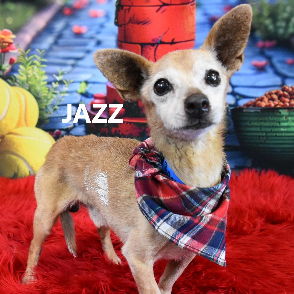 Jazz