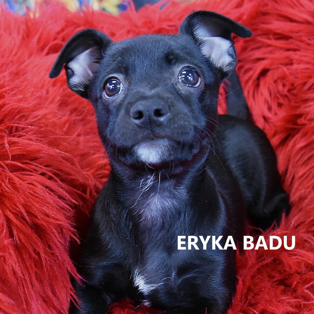 Eryka Badu 