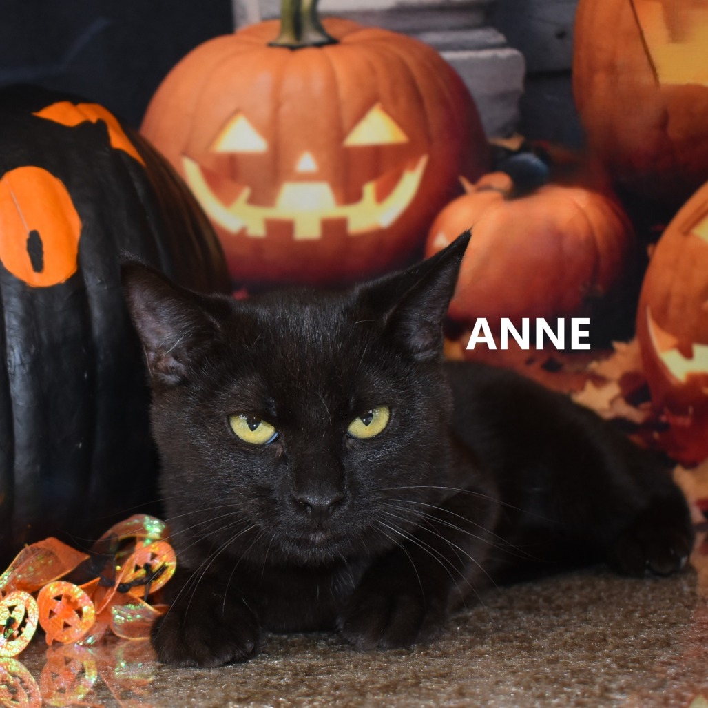 Anne