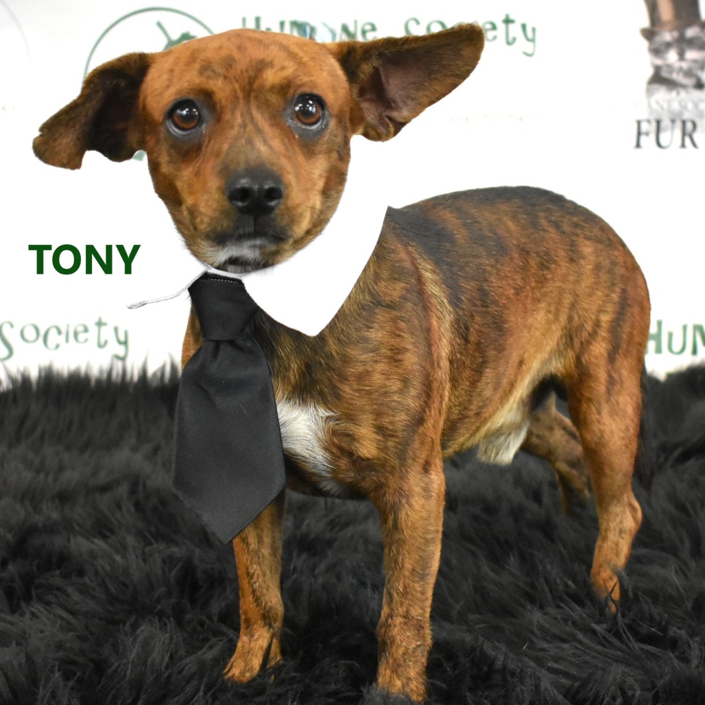 Tony