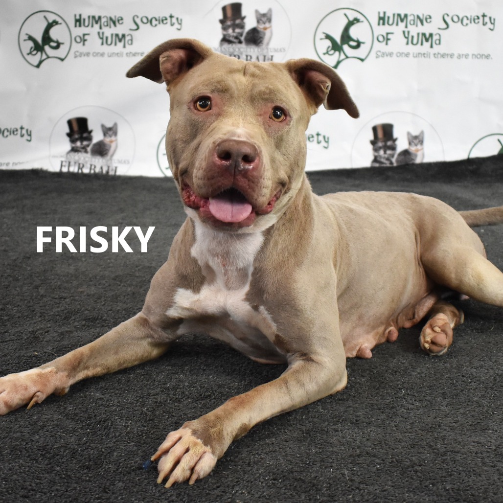 Frisky