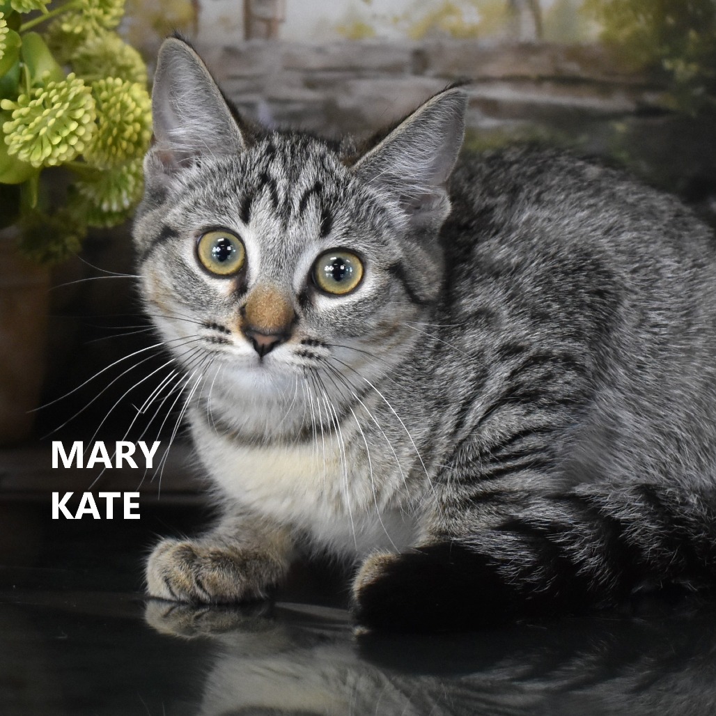Mary Kate