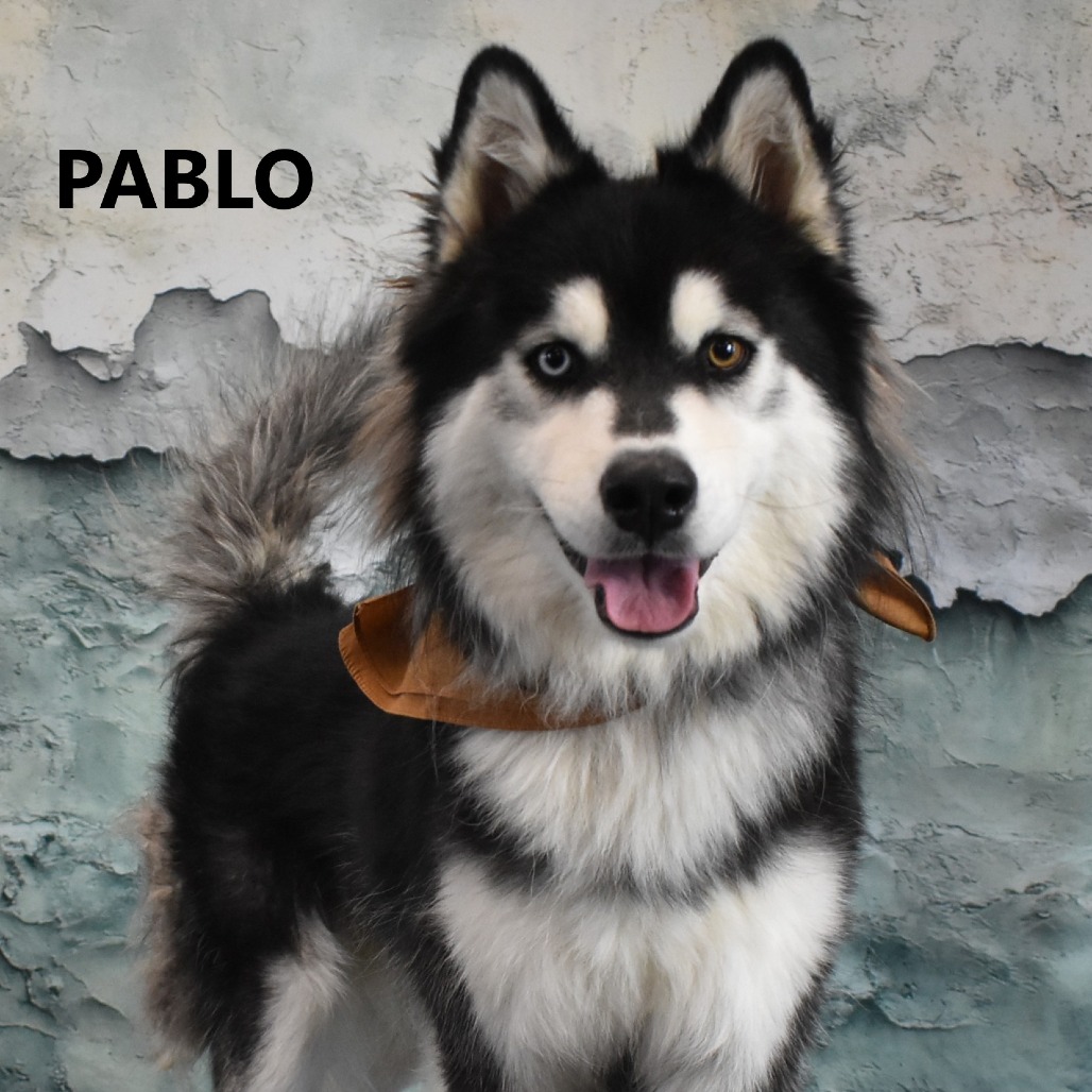 Pablo