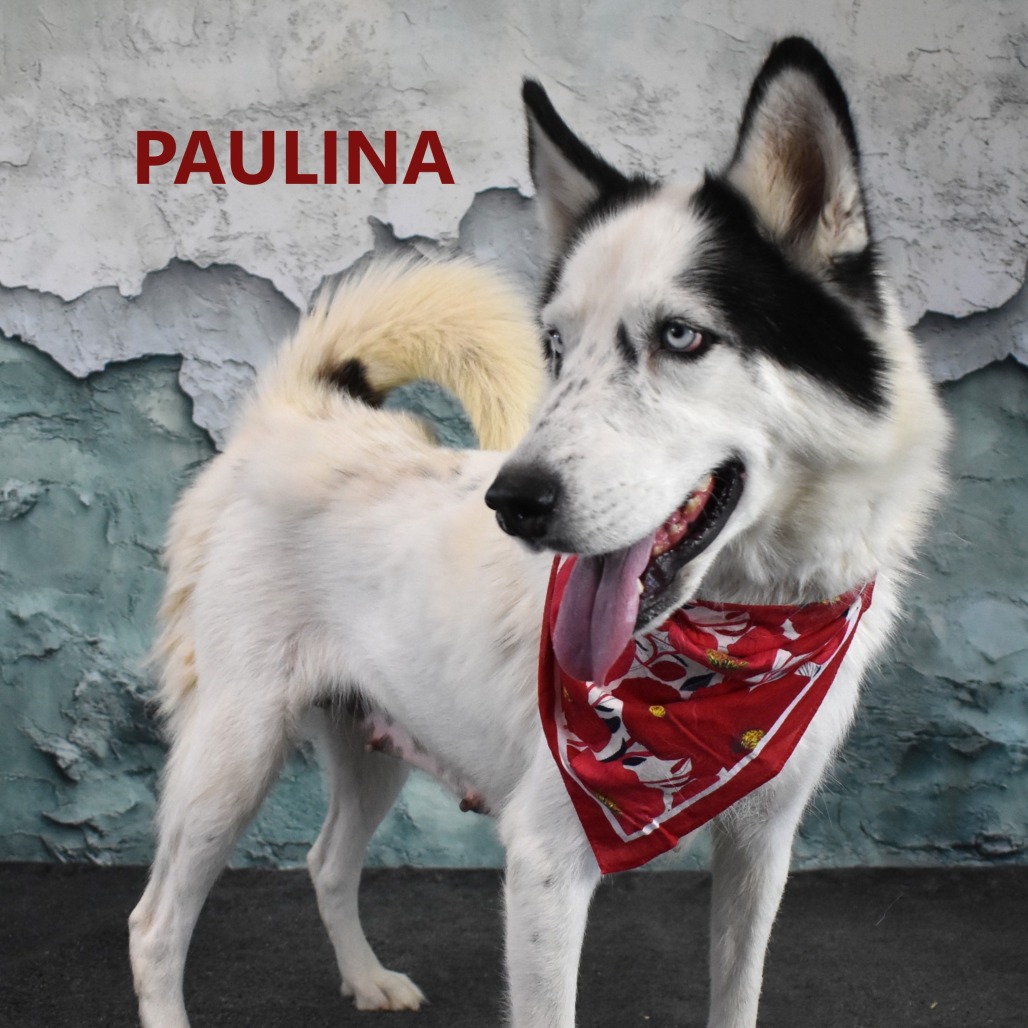 Paulina