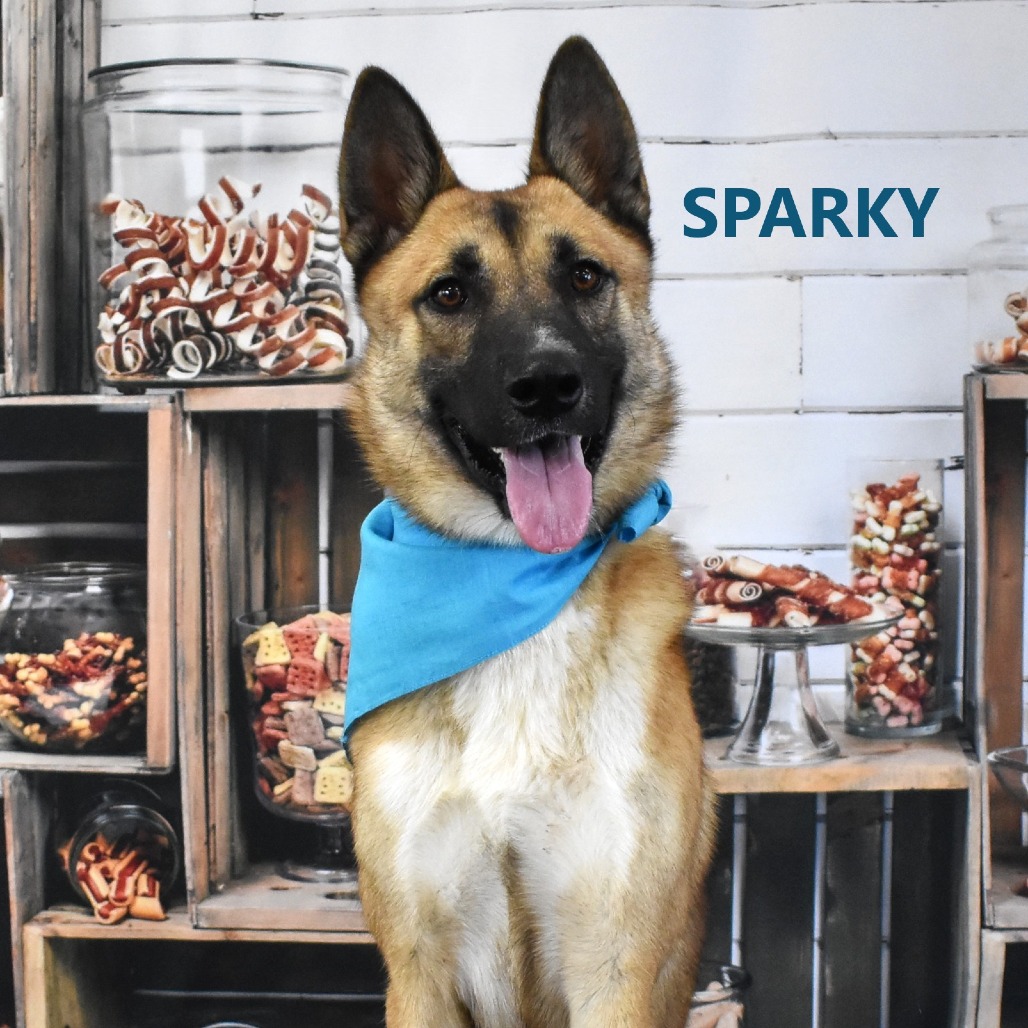 Sparky