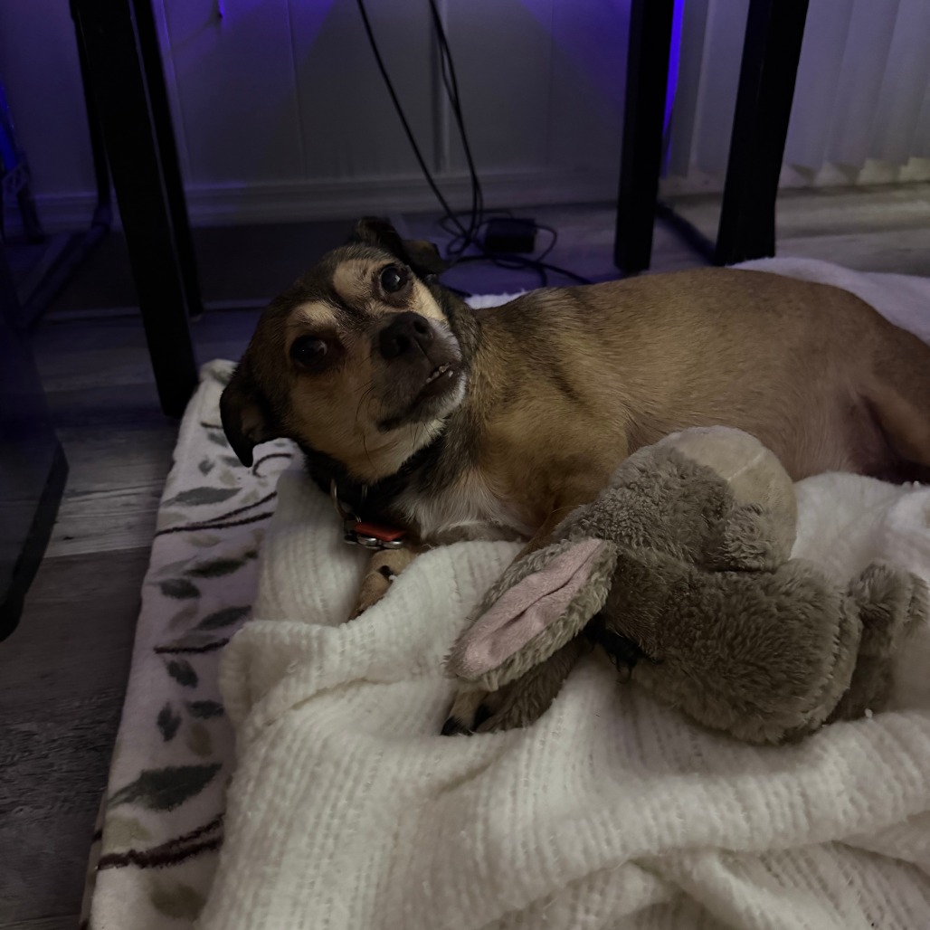 Sammy