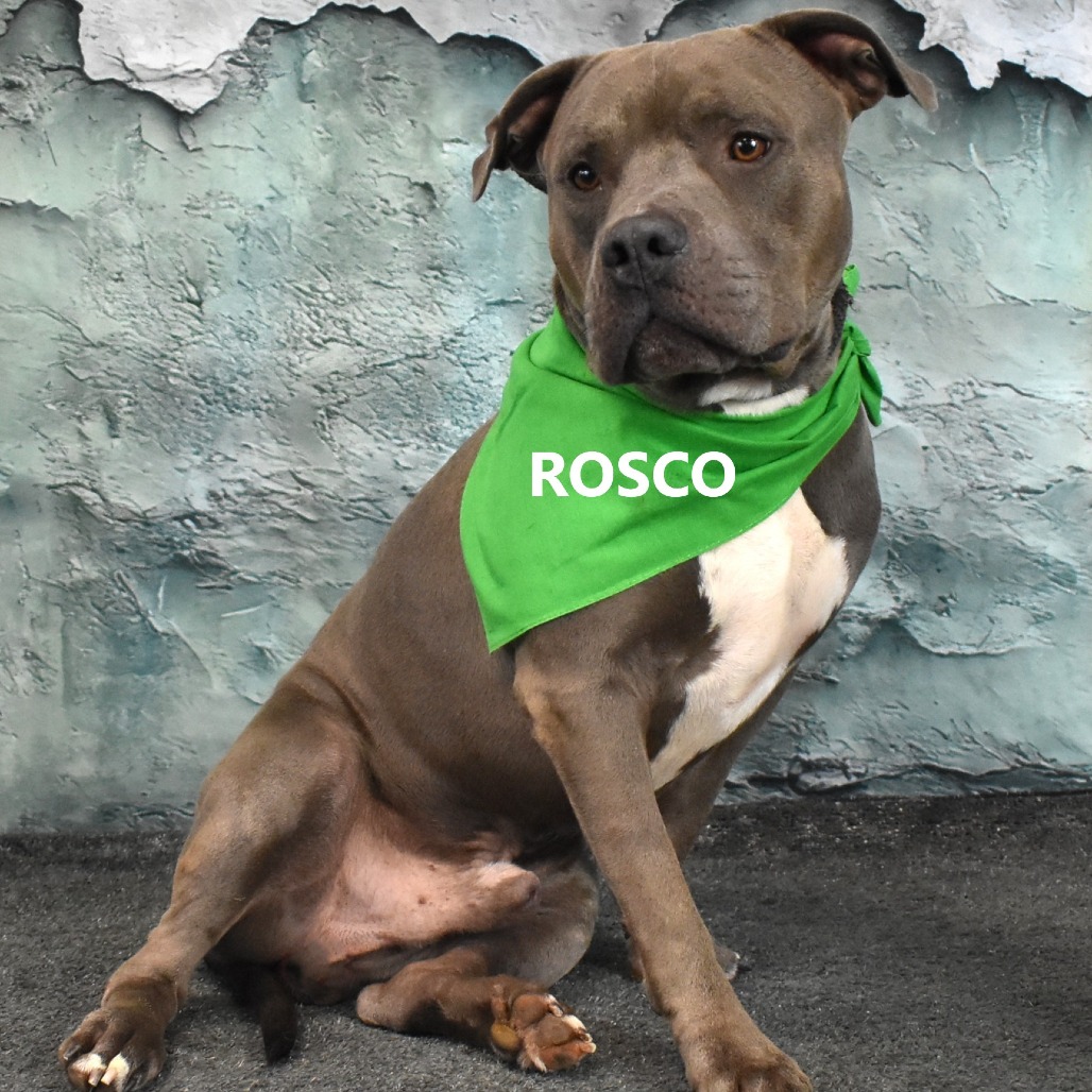 Rosco