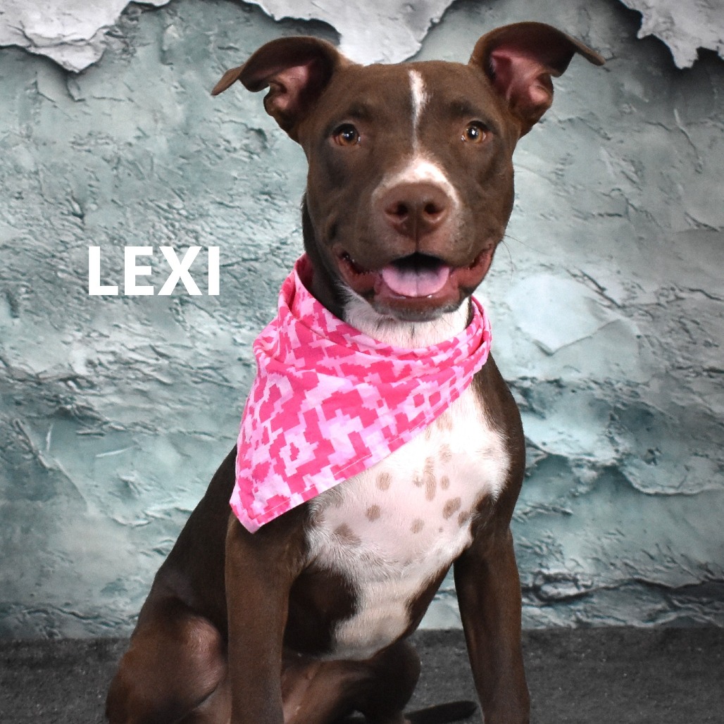 Lexi