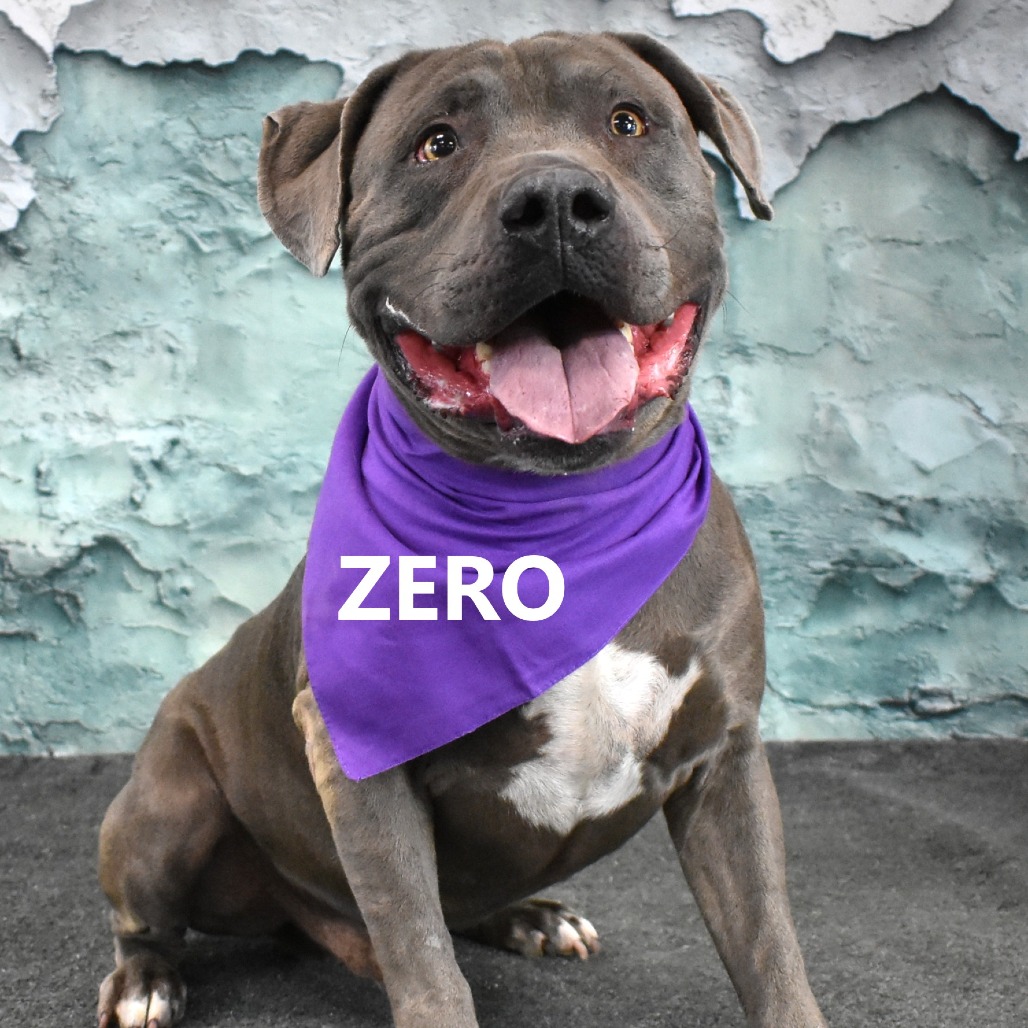 Zero