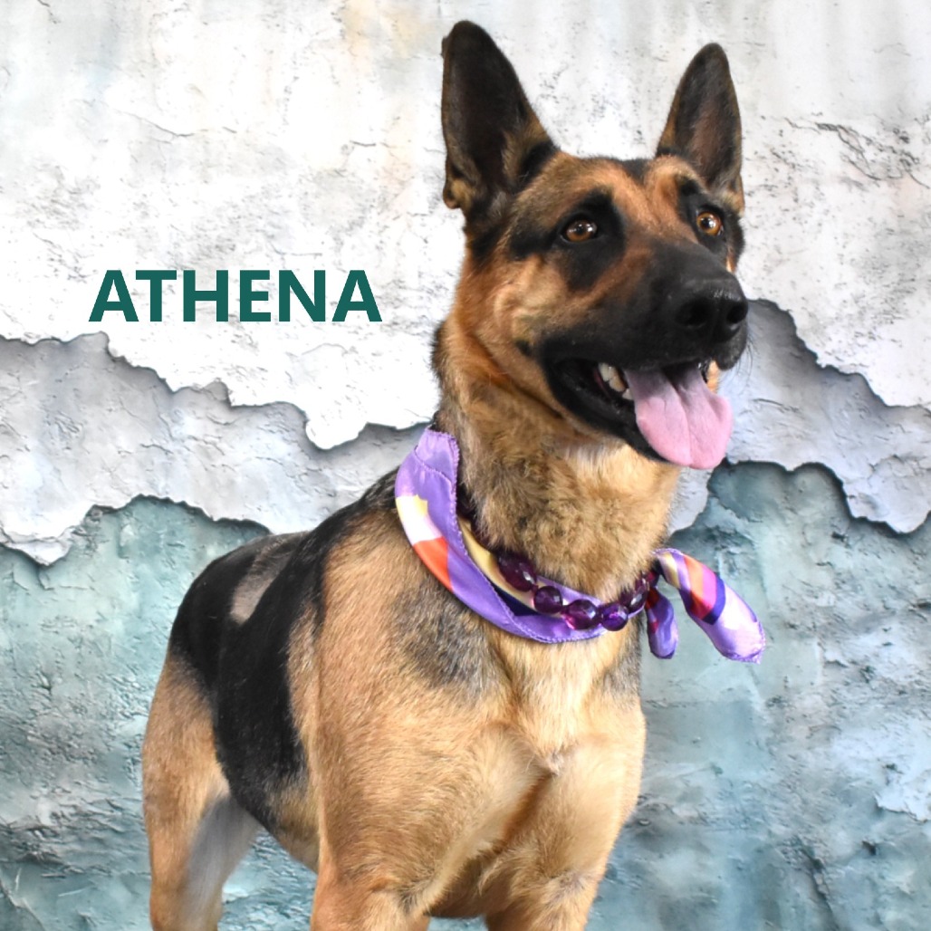 Athena