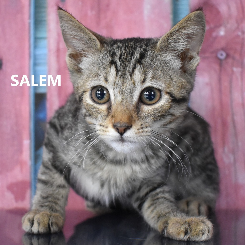 Salem