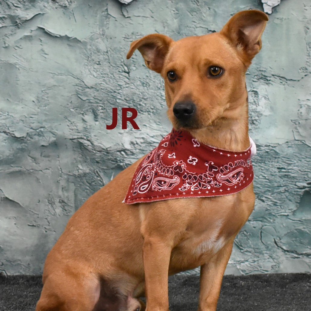 JR