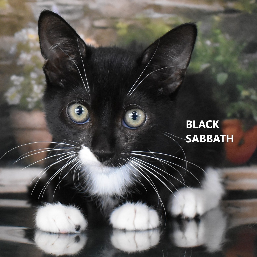 Black Sabbath