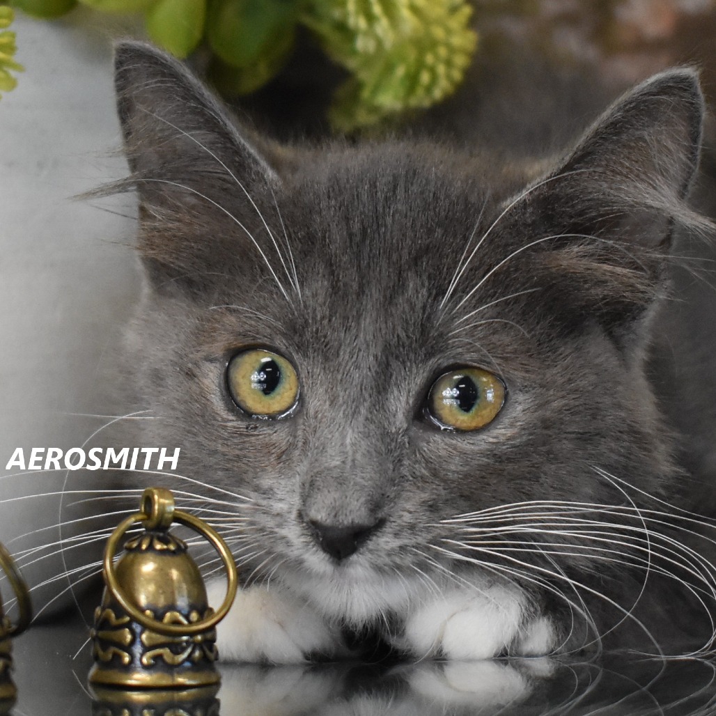 Aerosmith