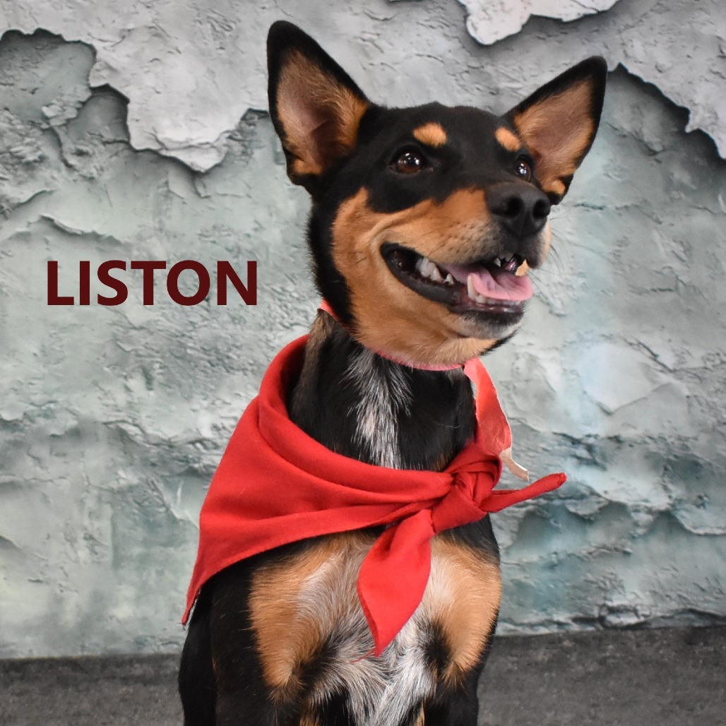 Liston