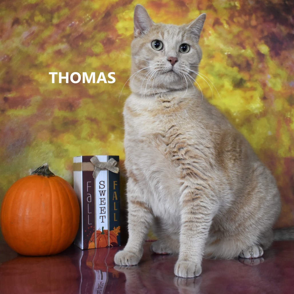 Thomas