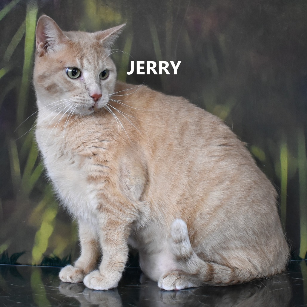 Jerry