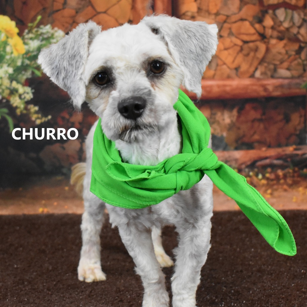 Churro