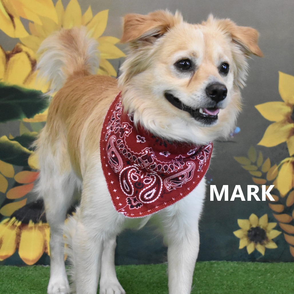 Mark