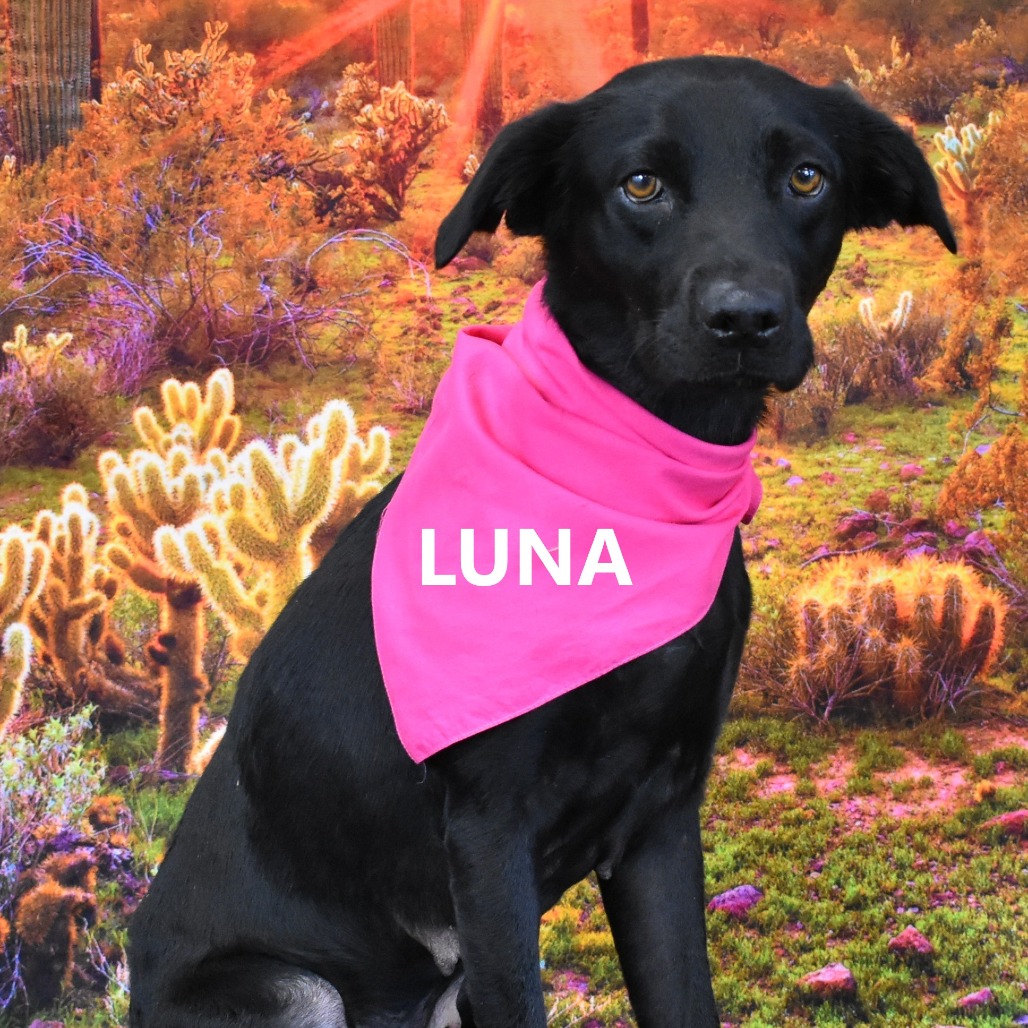 Luna