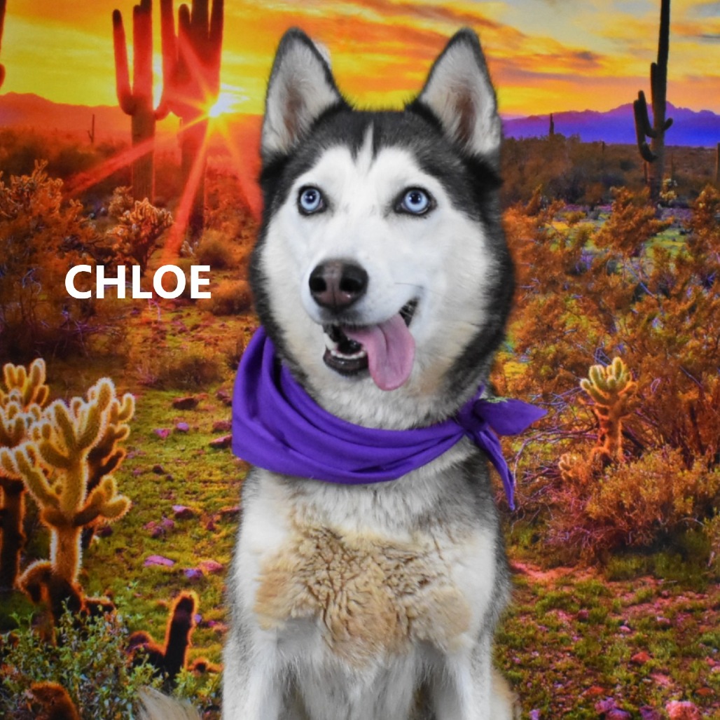Chloe