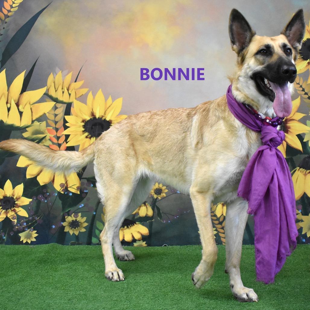 Bonnie