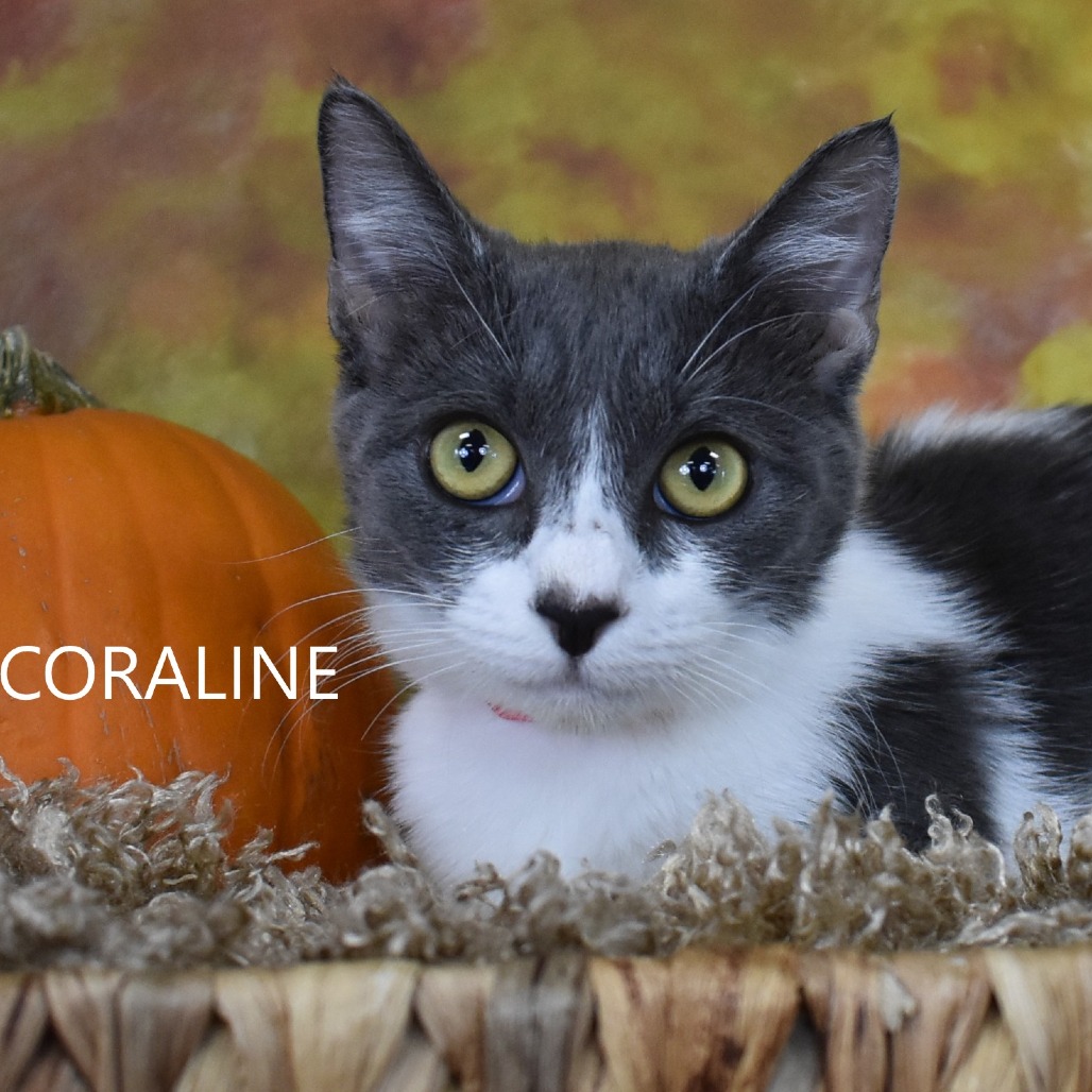 Coraline