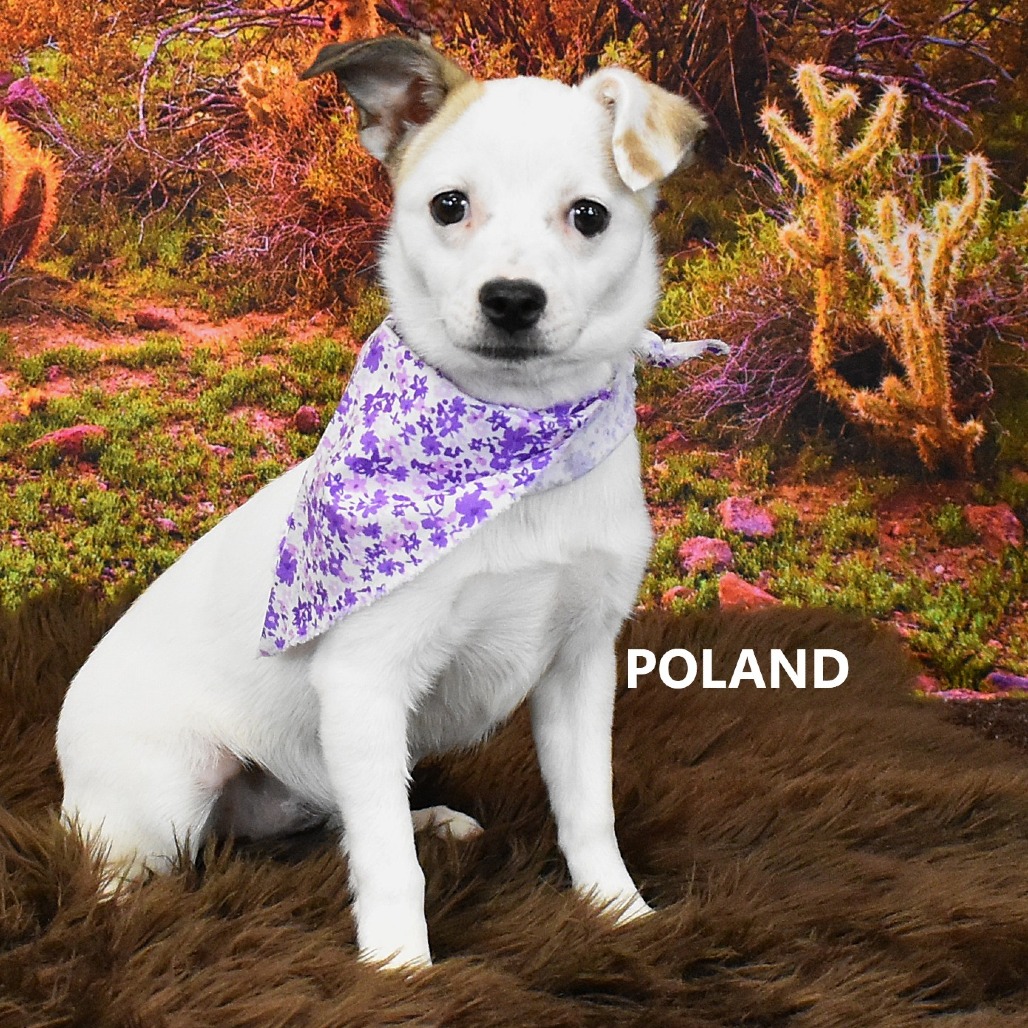 Poland