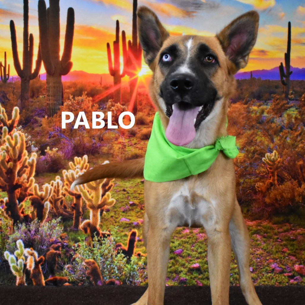Pablo