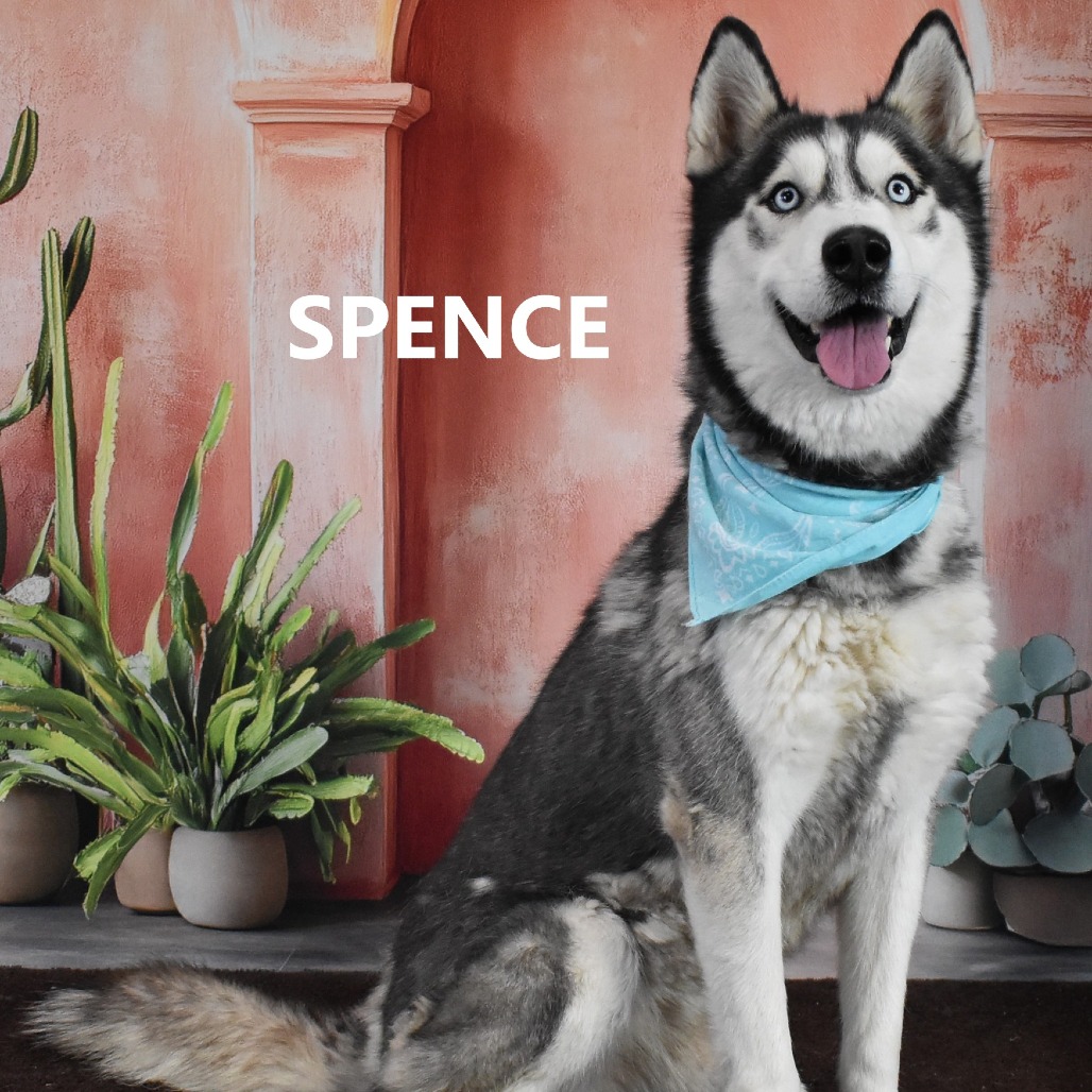 Spence 