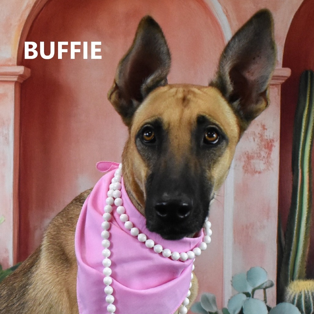 Buffie