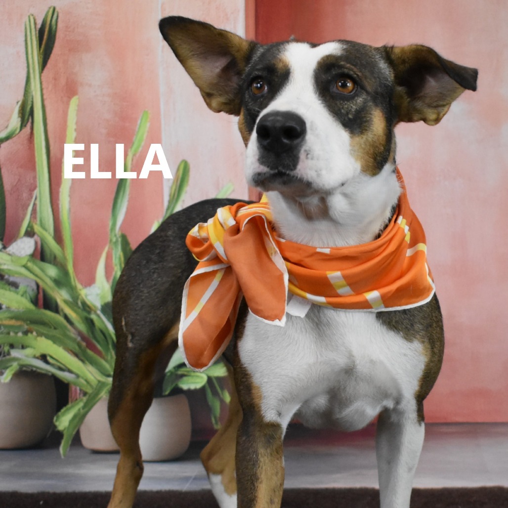 Ella 