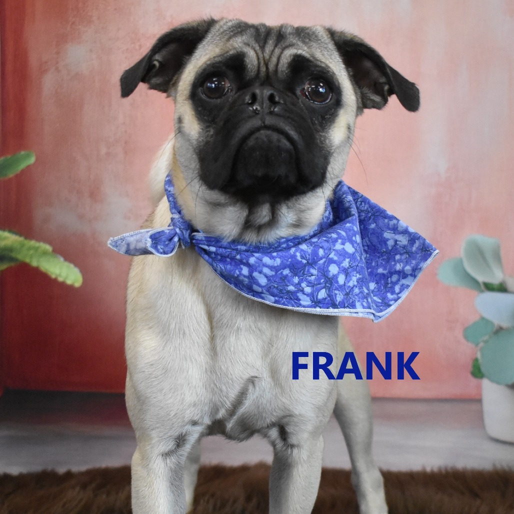 frank 