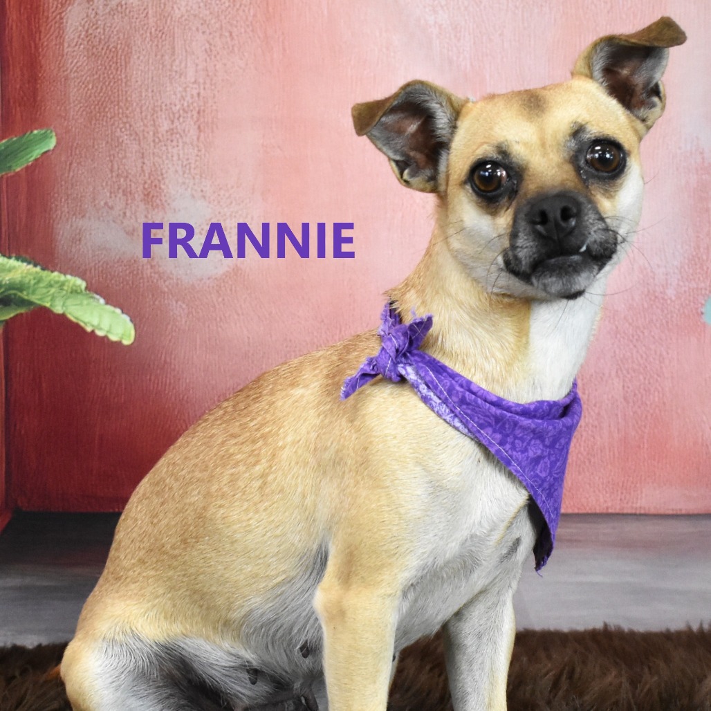 Frannie
