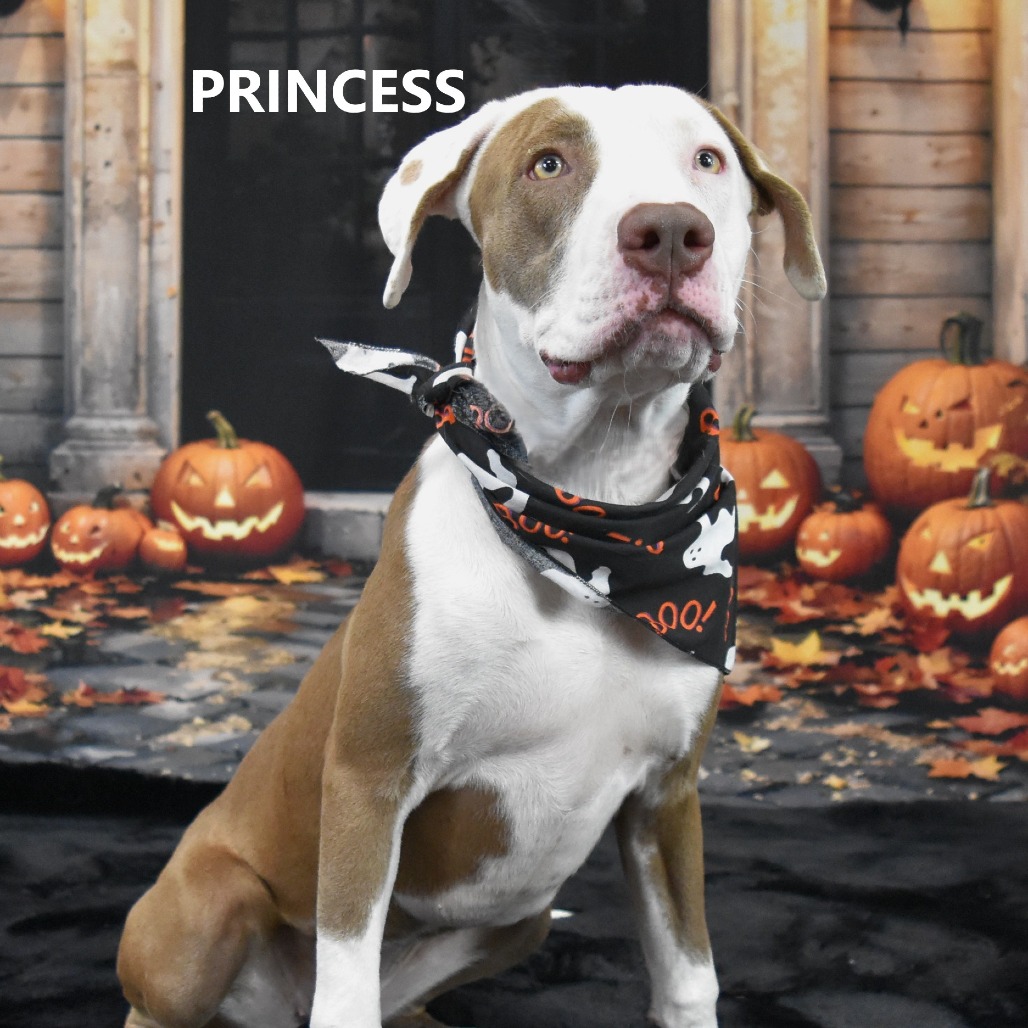 Princess
