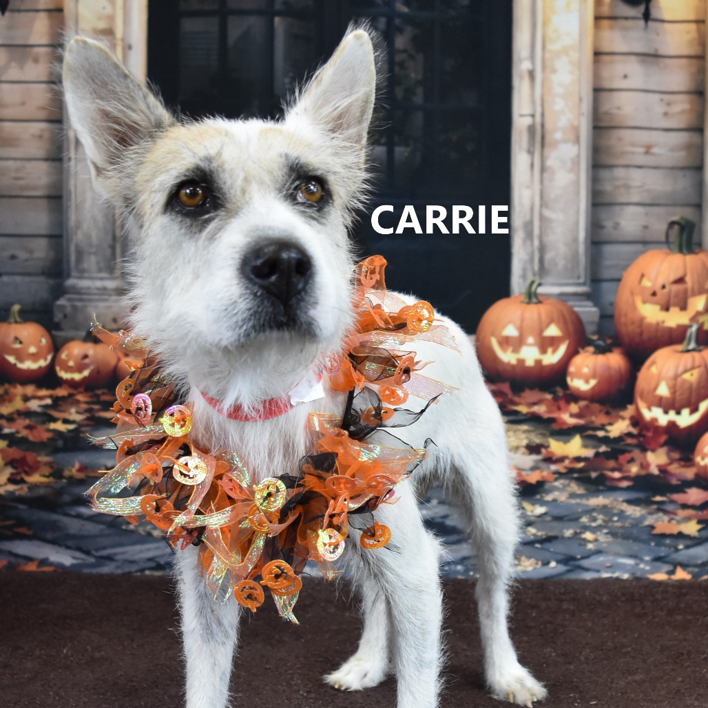 Carrie