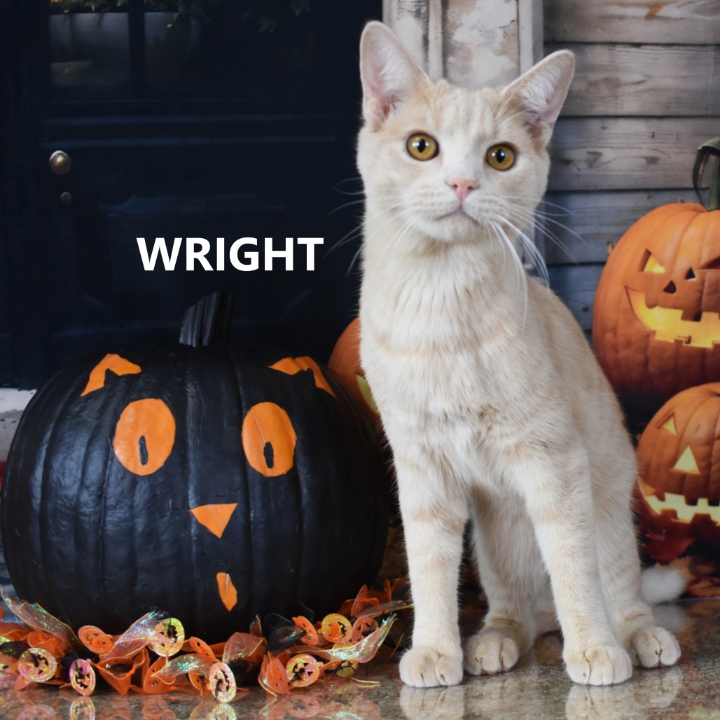 Wright