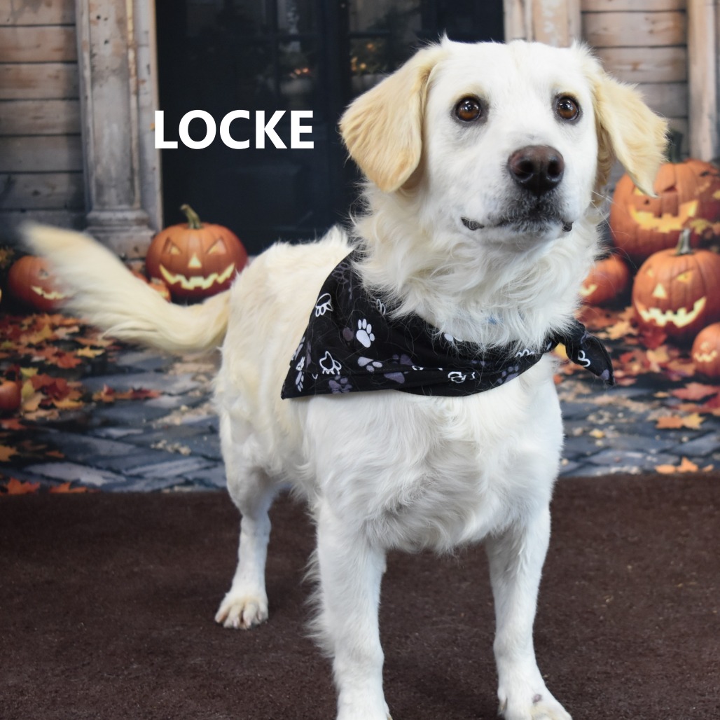 Locke