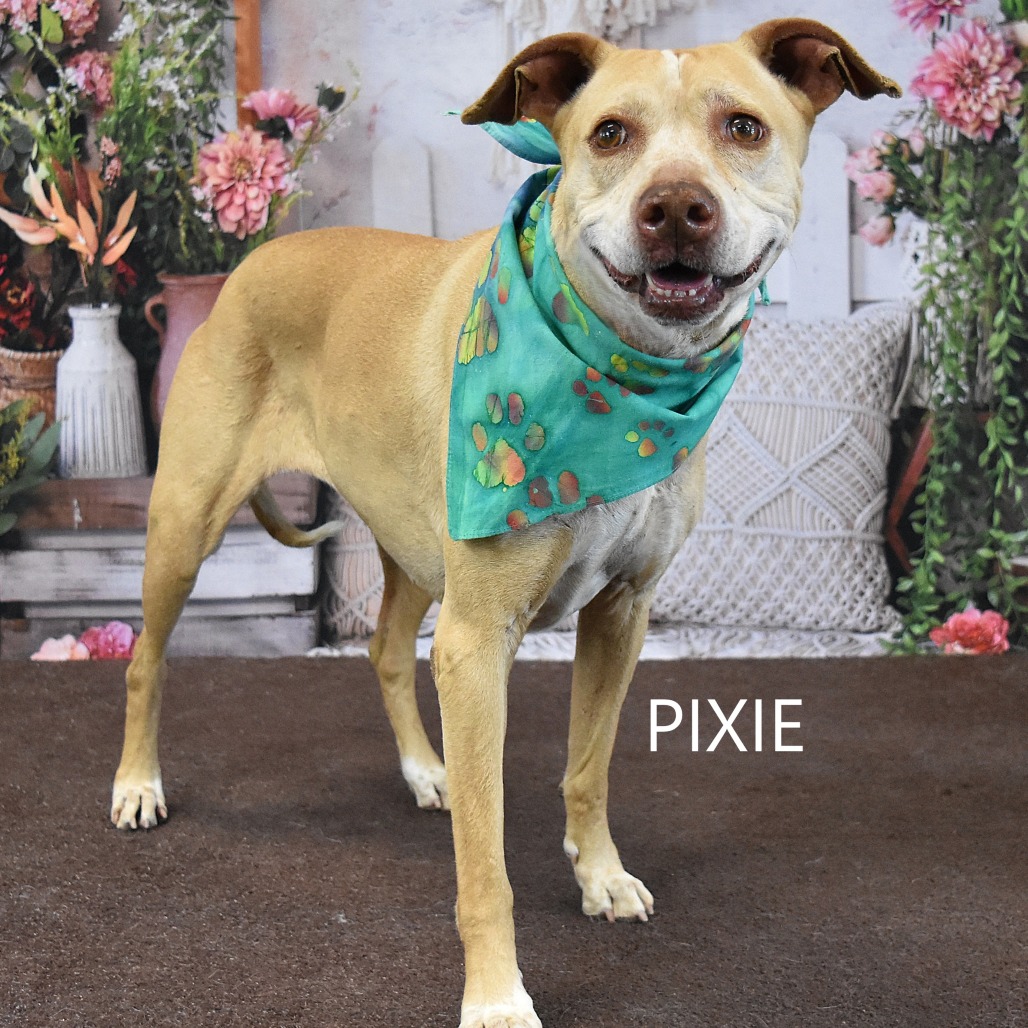 Pixie
