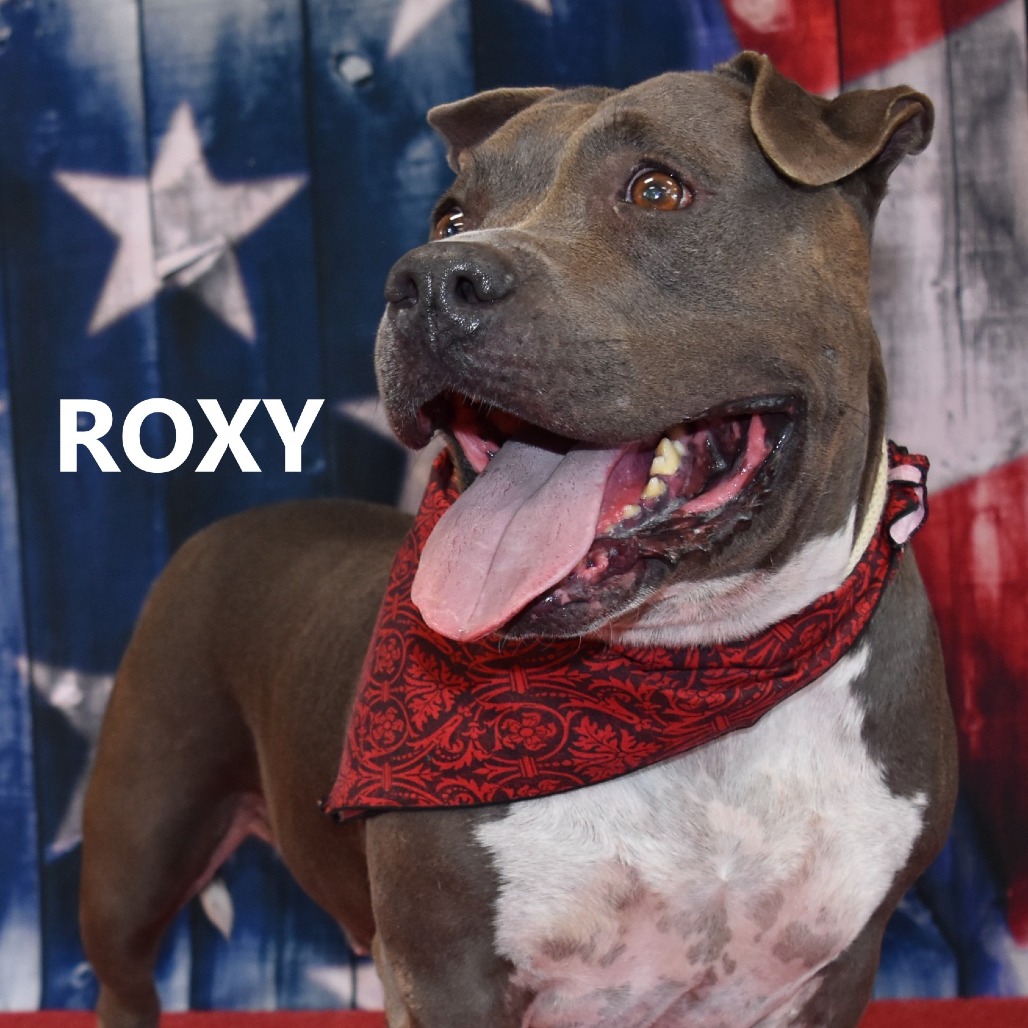 Roxy