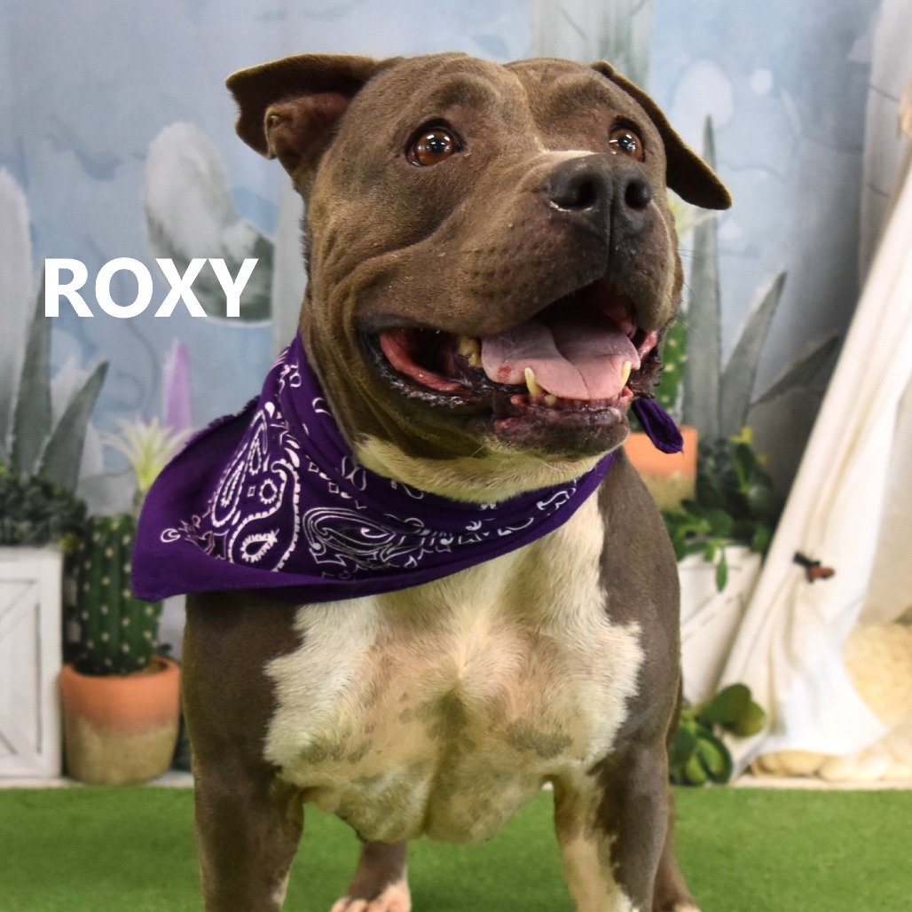 Roxy