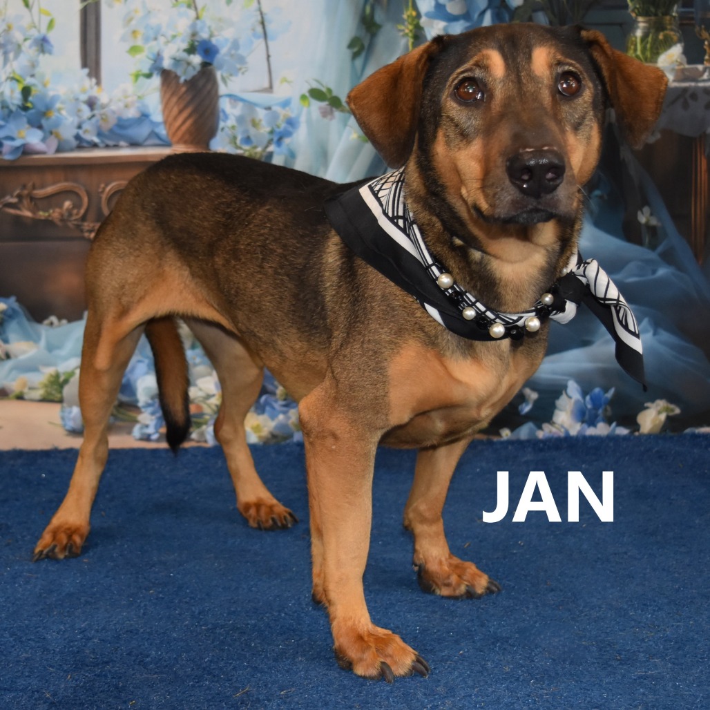  Jan