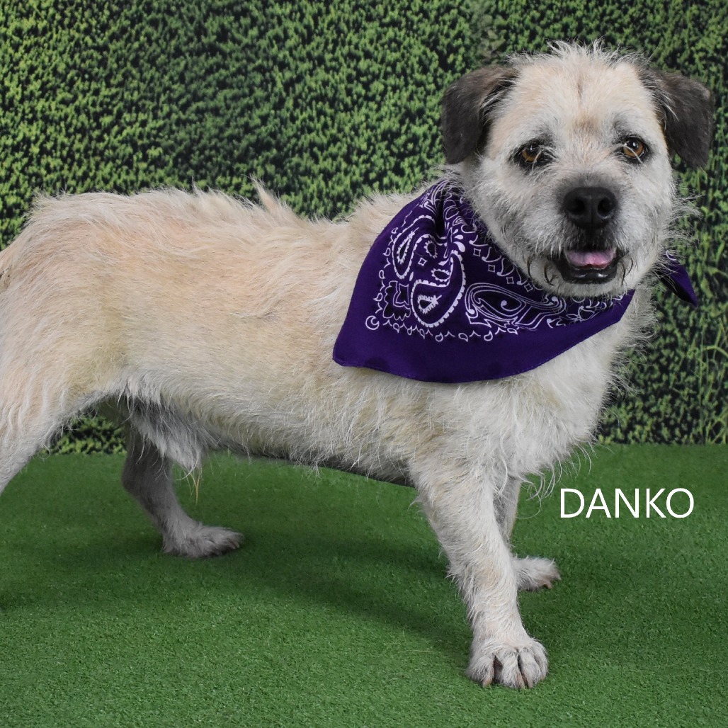 Danko
