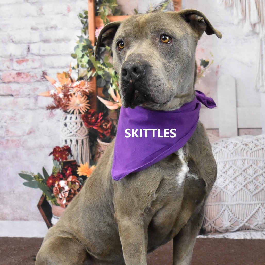 Skittles