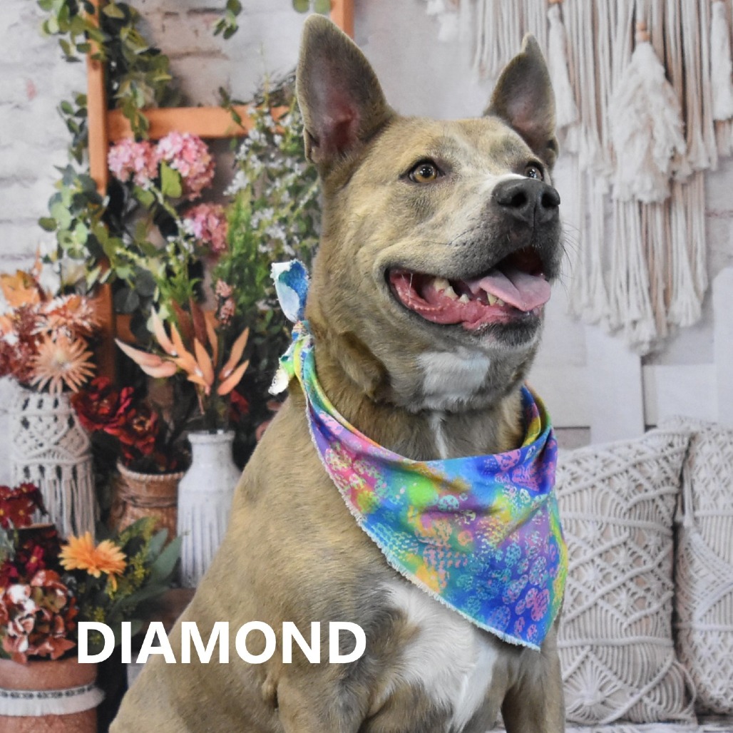 Diamond
