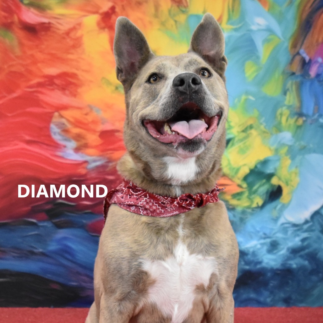 Diamond