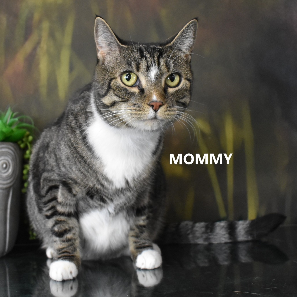 Mommy